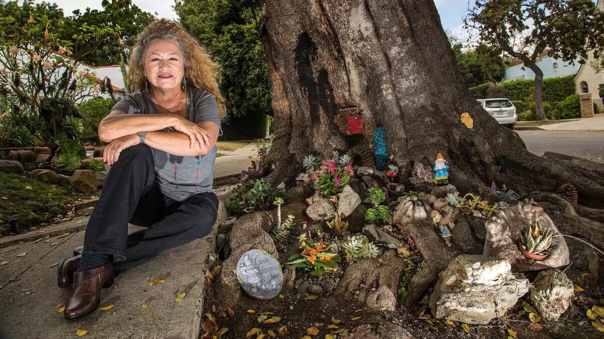 A resident beside the fairy garden built into the tree's roots